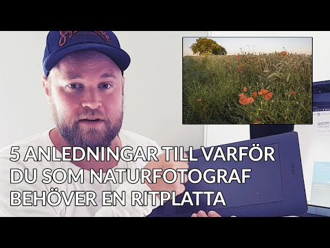 5 anledningar till varför du som naturfotograf behöver en ritplatta