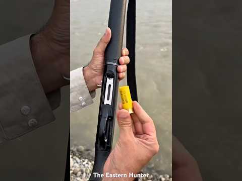 Remington vs Black Cloud vs Winchester vs Federal (4 Shot Comparison)