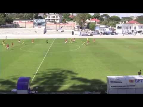Mirza Halvadzic vs Portugal • Individual Highlights HD (06/06/2014)