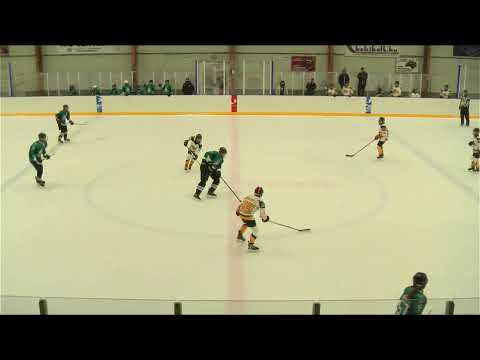 U14 365 White Sharks HC - Jégoroszlánok 20201128