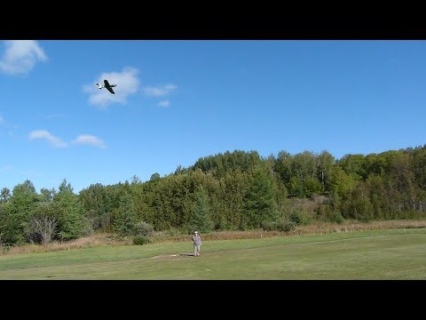 Control line - Vintage Sterling P-40 with Enya .09-IV