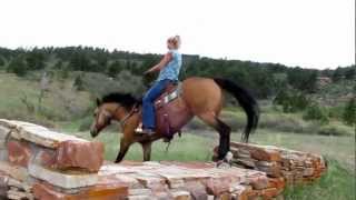 preview picture of video 'ACTHA Video 2012 - America's Favorite Trail Horse Moriah & Olivia Hutton.wmv'