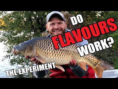 Feeder Fishing for Carp... with Flavourings - The Experiment!... Part one - Rob Wootton