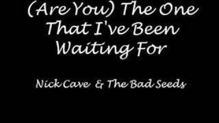 (Are You) The One That I&#39;ve Been Waiting For - Nick Cave
