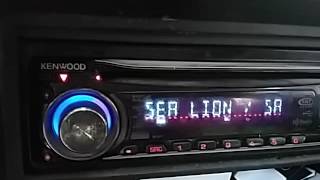 Sea lion- sage francis