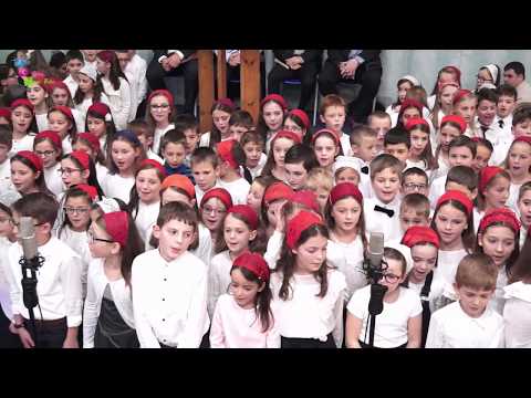 GRUPA DE COPII 8-9 ANI - 15-12-2019