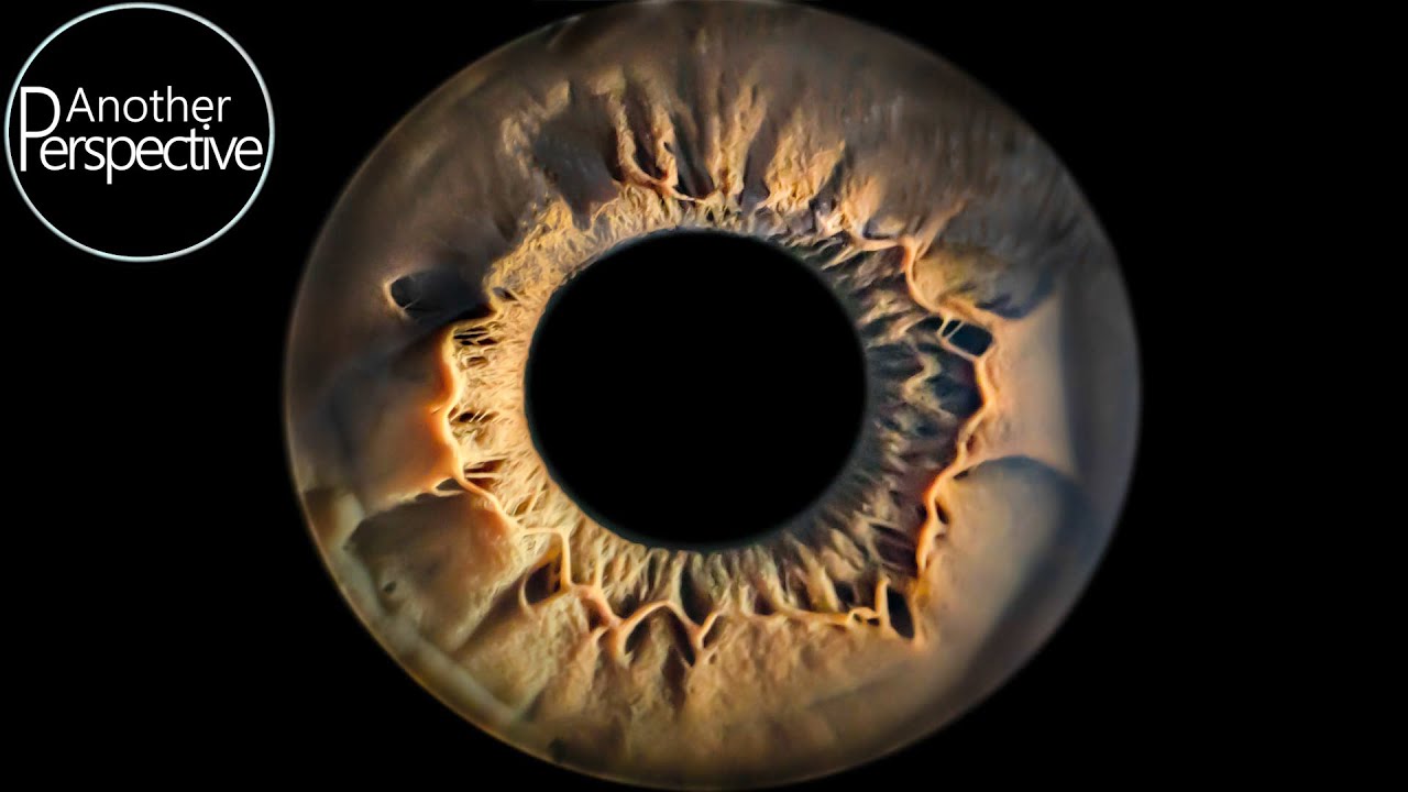 Macro photography tips on how to capture your own iris by another perspective