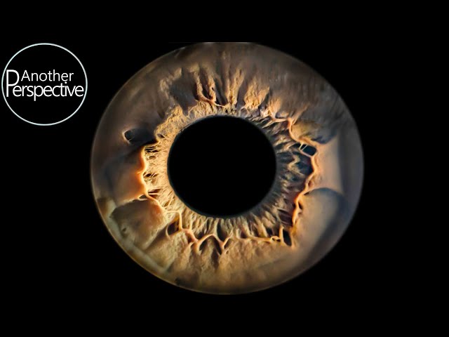 Macro photography tips on how to capture your own iris by another perspective