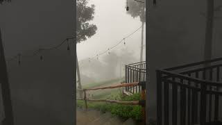 Download lagu Buat Prank Status WA nih #puncakbogor #statuswhatsapp #staycation #healing mp3