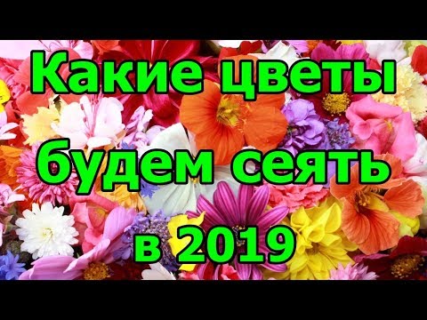 Какие #цветы будем #сеять в 2019 году.