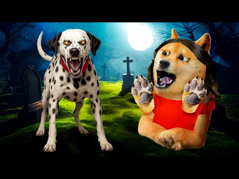 My dog came back to life! 🐶💀➡️🐾