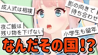 VTuberが大使館訪問してきた！！アメリカ大使との邂逅に立ちはだかる〇〇…！！【神野たね】