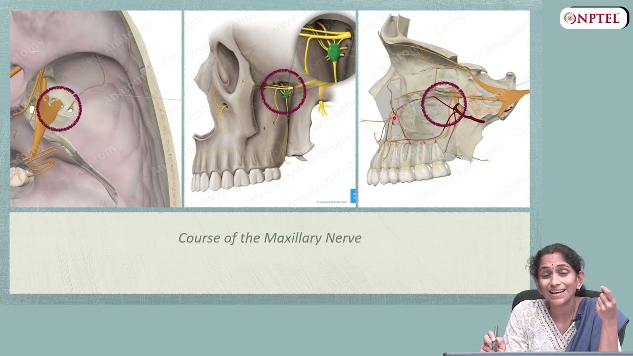 Maxillary Injection Techniques - Part 1