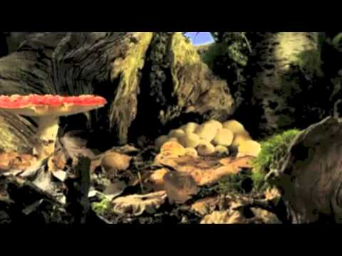 Skurge and Mars Madness - Fly Agaric Christmas