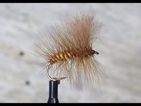 Nalle Puh variaatio #8