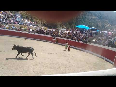 GANADERIA ACHO CHICLLA CARAYBAMBA
