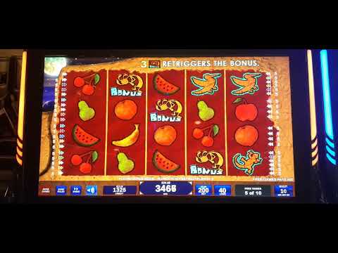 COYOTE MOON SLOT BIG WIN! READ DESCRIPTION