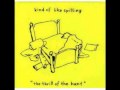 Kind Of Like Spitting - Share The Road 