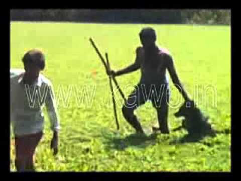 2015 - APRIL 6 - RESCUE