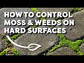 How to Control Moss & Weeds on Hard Surfaces 