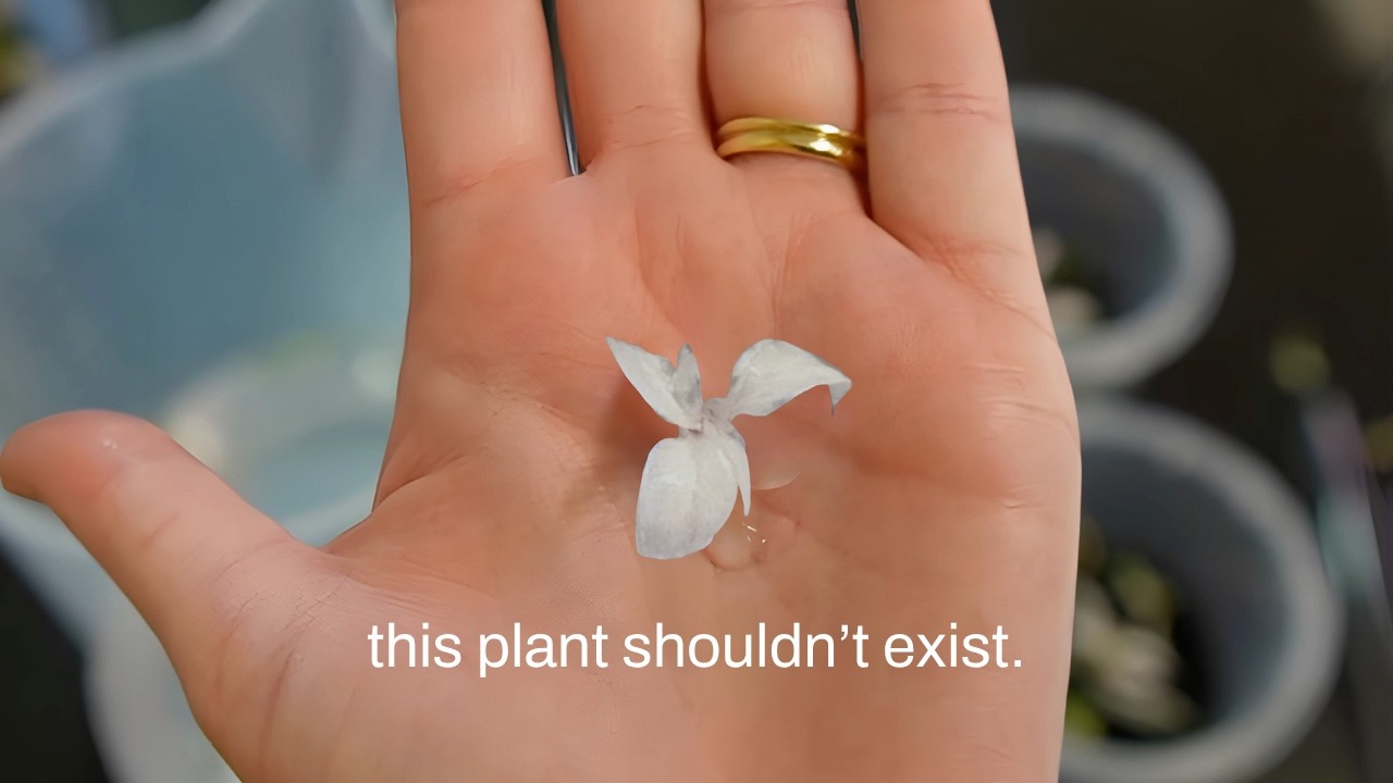 I broke the rules of biology