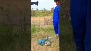 Download lagu survival fishing video mp3
