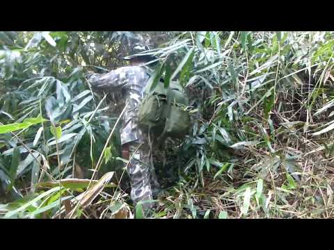 ROCK APE INVESTIGATION: Jungle Bashing Footage