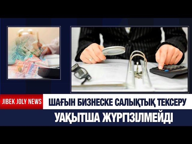 Шағын бизнеске салықтық тексеру уақытша жүргізілмейді