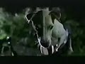 Son Of The Mask Tv Spot 2