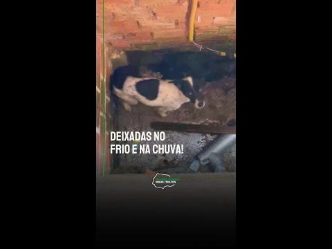 RESGATE CHOCANTE EM ALMIRANTE TAMANDARÉ!