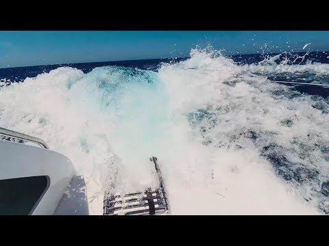 SCARED FOR MY LIFE! Sailing at 22 knots boat speed down HUGE waves (Sailing La Vagabonde) Ep. 105