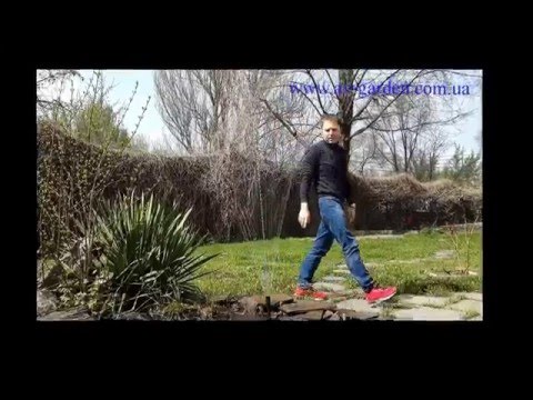 Watch Video on YouTube