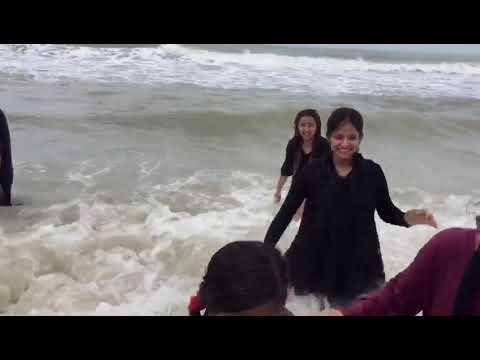 Family Picnic At Seaside