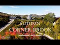 Autumn in Corner Brook, Newfoundland Labrador