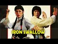 Wu Tang Collection Iron Swallow