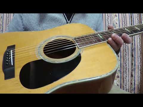 1975 Yairi YW-600 Dreadnought Guitar New Jacaranda Natural+Vintage Flight Case image 25