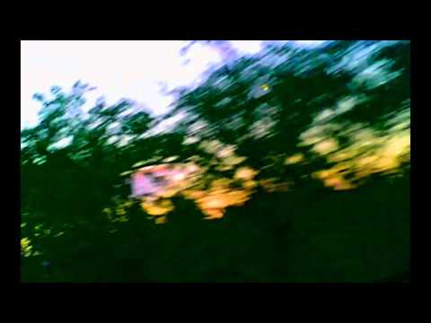 billy joe shaver - hard to be an outlaw feat willie nelson