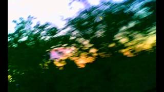 billy joe shaver - hard to be an outlaw feat willie nelson