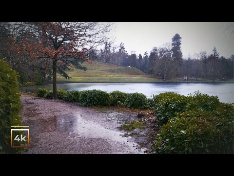 Relaxing Rain Walk in England 🇬🇧 | Cold Winter Rain Ambience | ASMR 4K