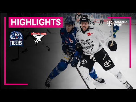 Straubing Tigers - Kölner Haie | PENNY DEL | MAGENTA SPORT