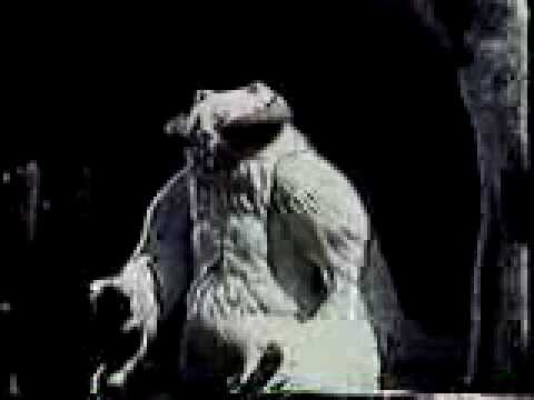 Star Wars Vintage KENNER Commercial - Wampa / Tauntaun