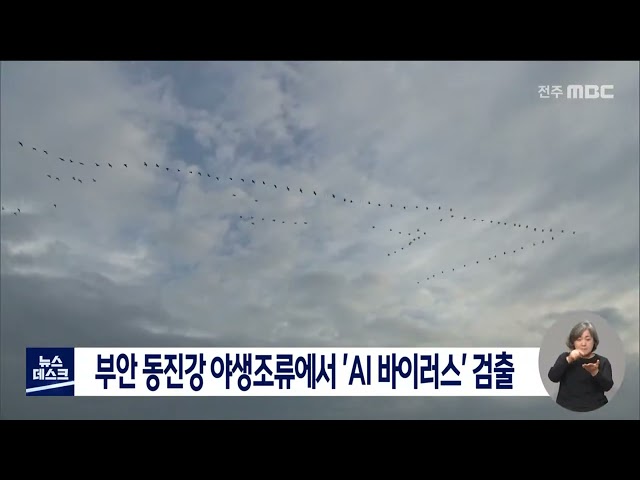 부안 동진강 야생조류에서 'AI 바이러스' 검출