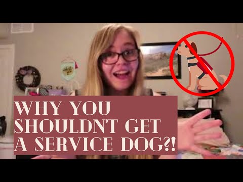 YouTube video about: Can dogs have fibromyalgia?