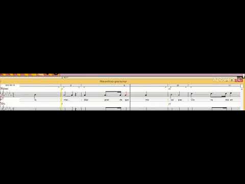 Maravillosa Gracia   Soprano