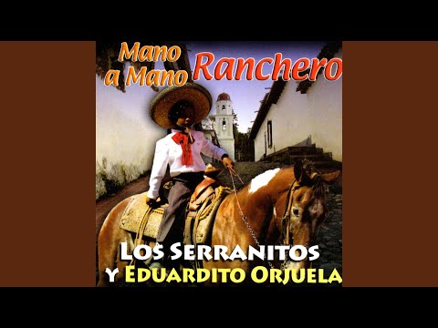 Me Duele Que te Vayas