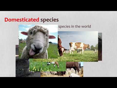 APES Unit 9.10 Human Impacts on Biodiversity Part 2 of 2