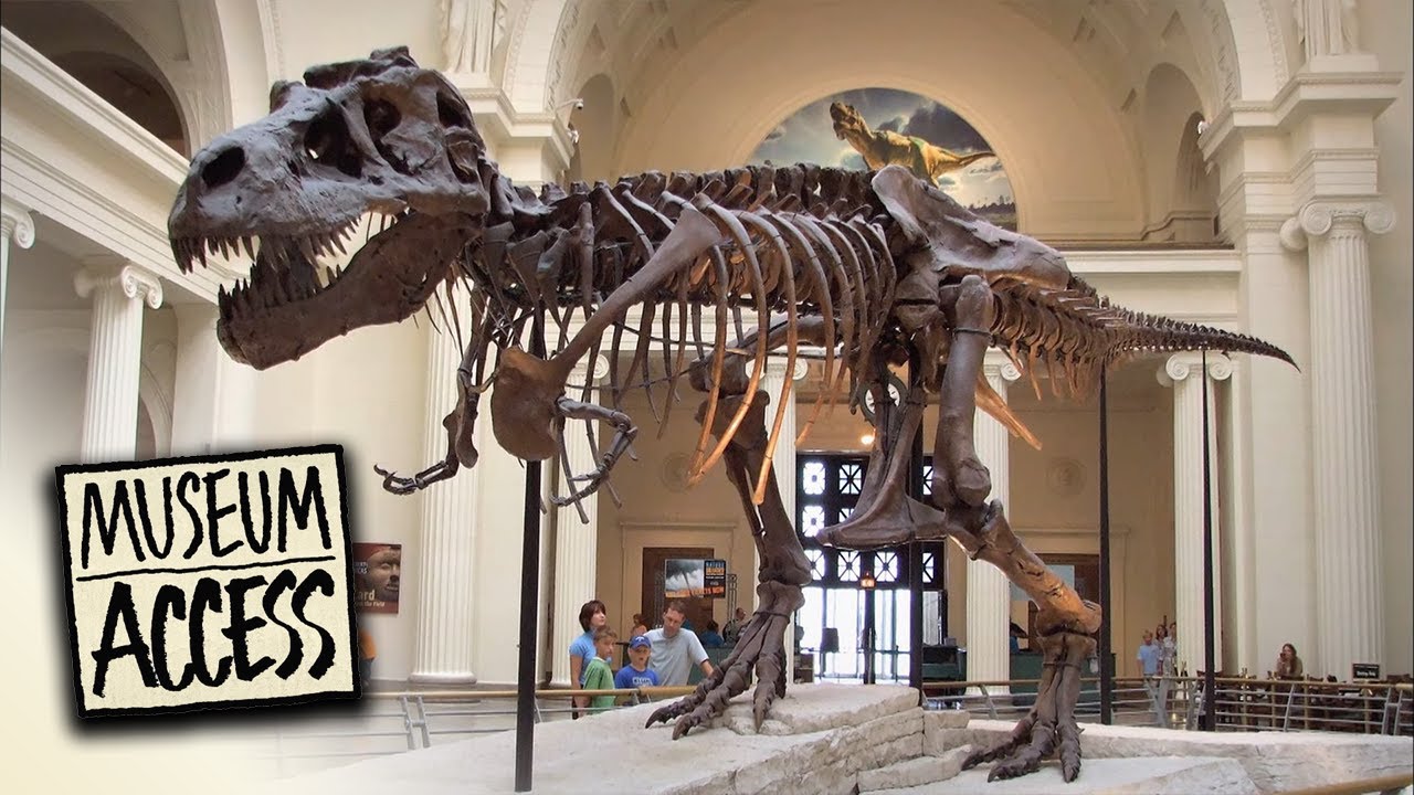 The Field Museum of Natural History - Museum Access | Full Episode
