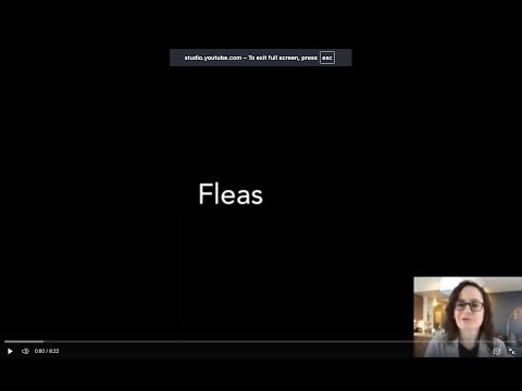 Lecture 17.4 - Fleas