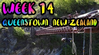 New Zealand Adventures!! Tandem Bungee Jumping and more!! /// WEEK 14 : Queenstown, New Zealand