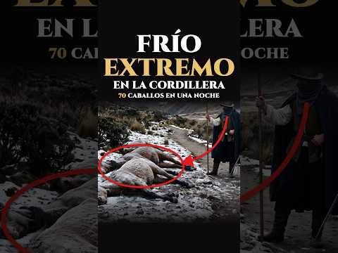 ¿Qué mató a 70 caballos de Almagro en una sola noche? ❄️ | Cap. I-7 #shorts  #historia #chile #frio
